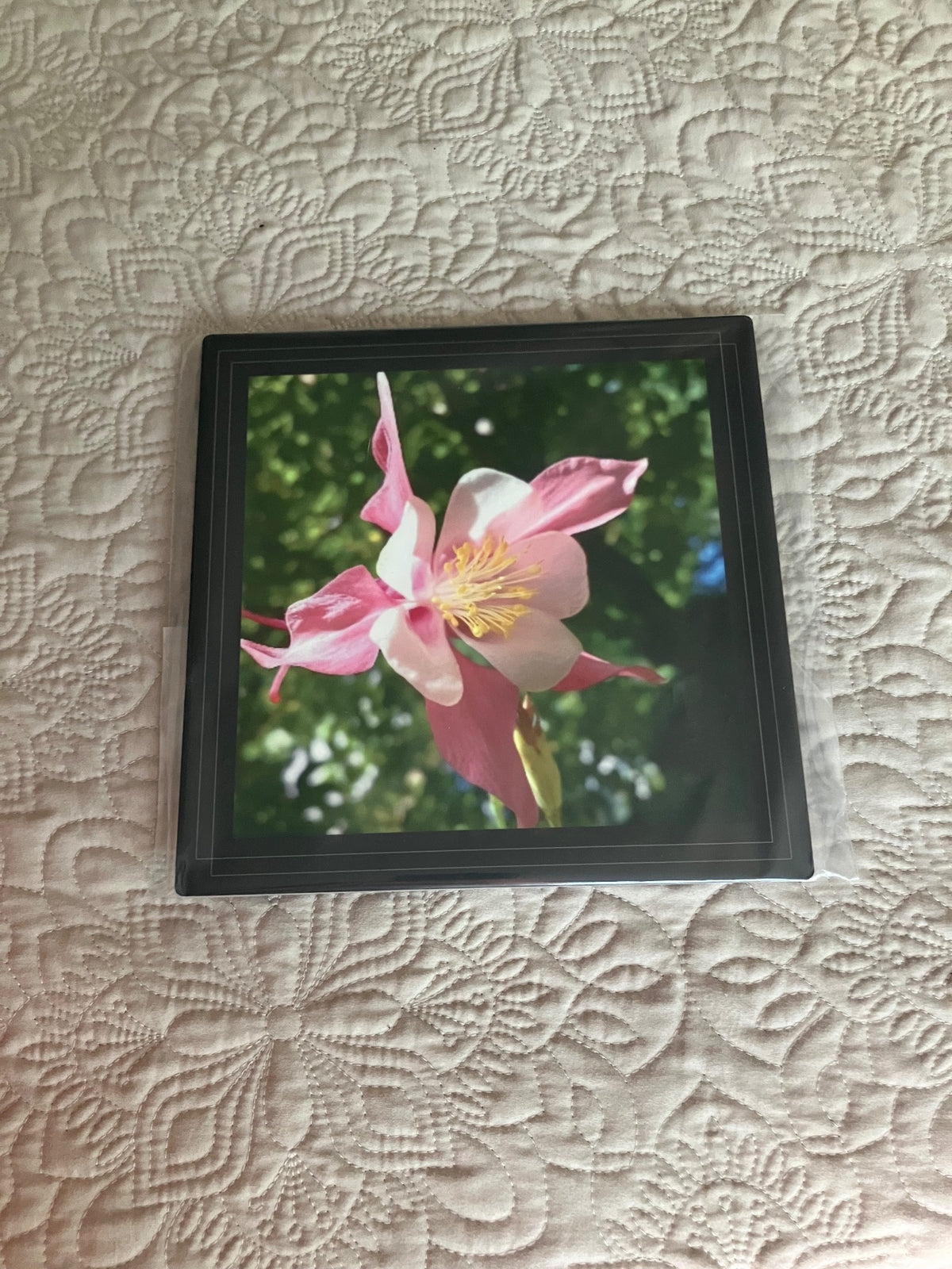 Original/durable-columbine by Tonya Arnold