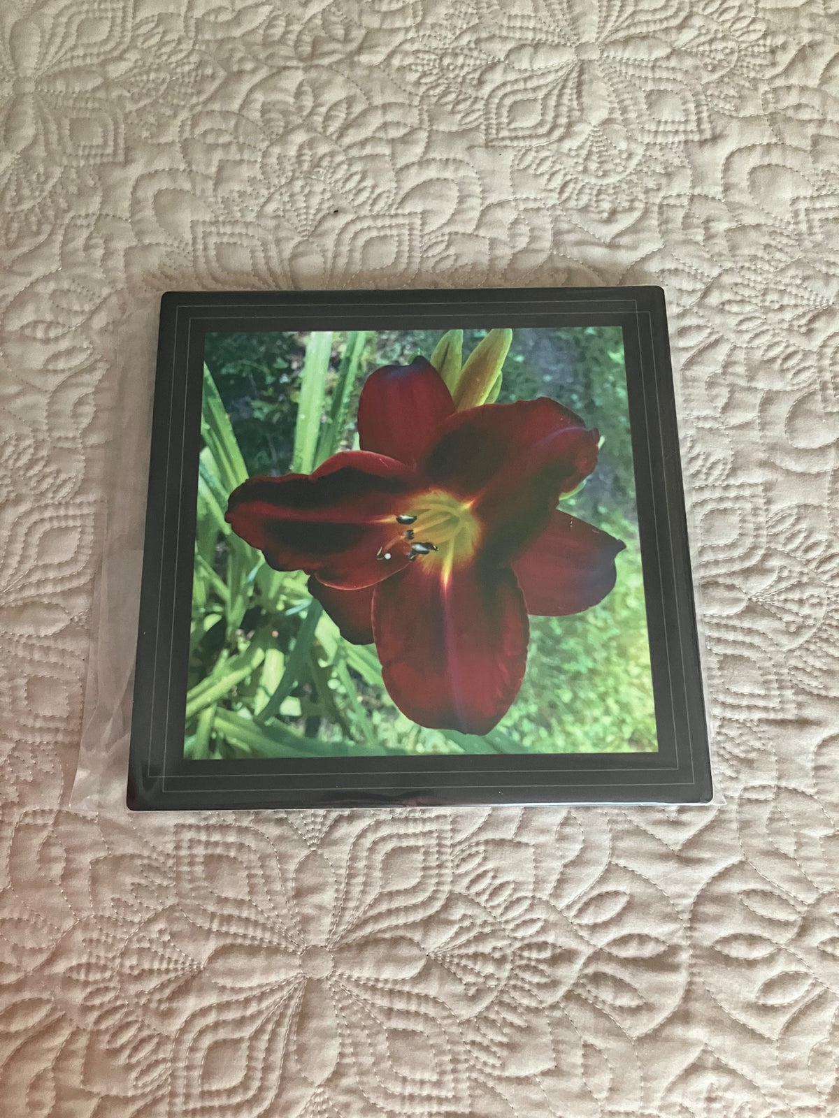 Original/durable-Maroon lily by Tonya Arnold
