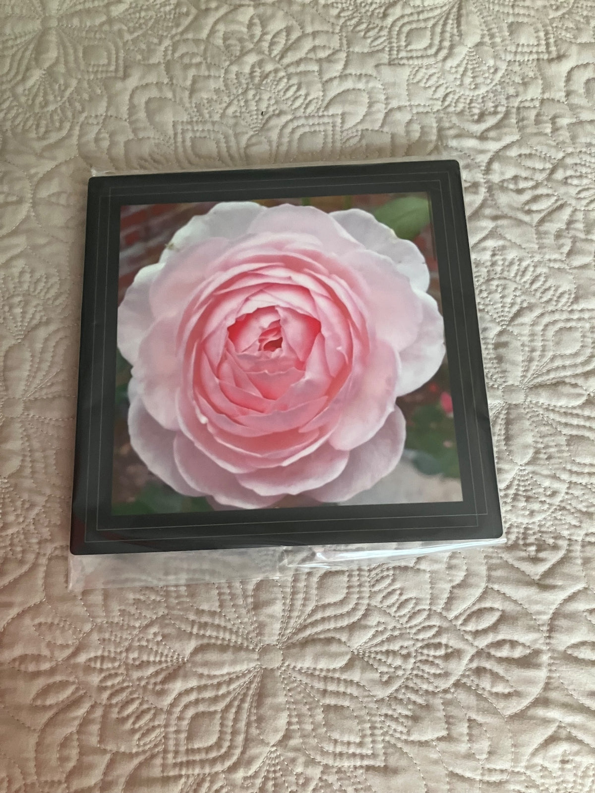 Original/durable-pink rose by Tonya Arnold