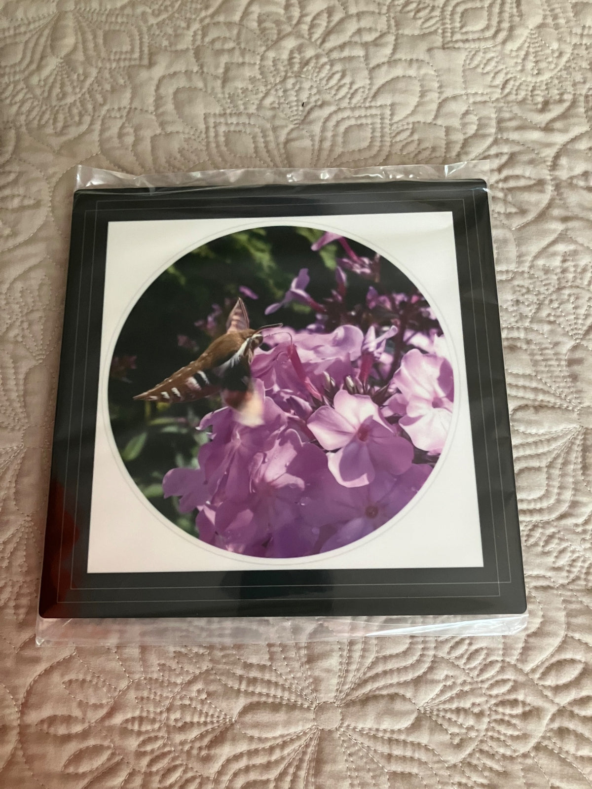 Original/durable- hummingbird moth by Tonya Arnold