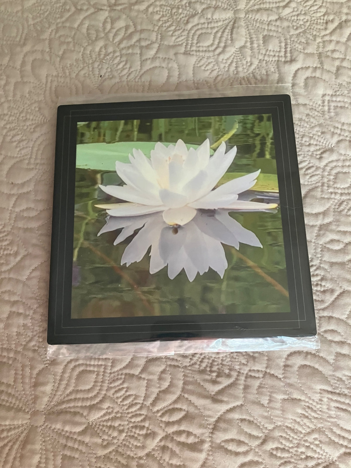 Original/durable - water lily by Tonya Arnold