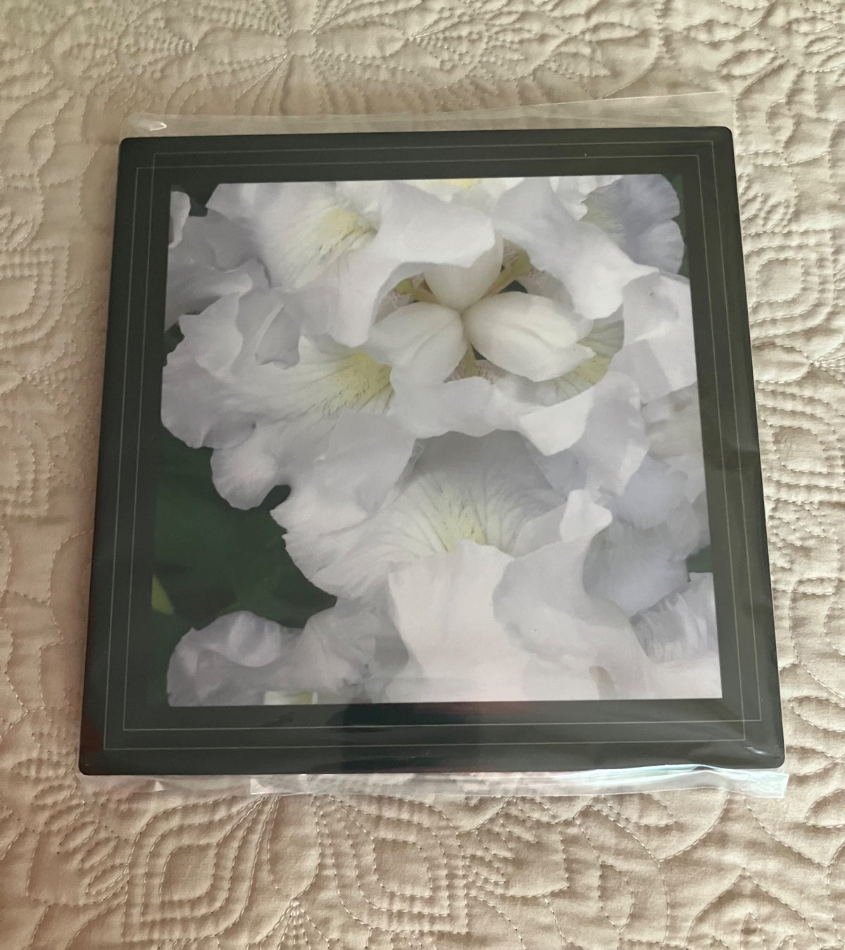 Original/durable - iris by Tonya Arnold