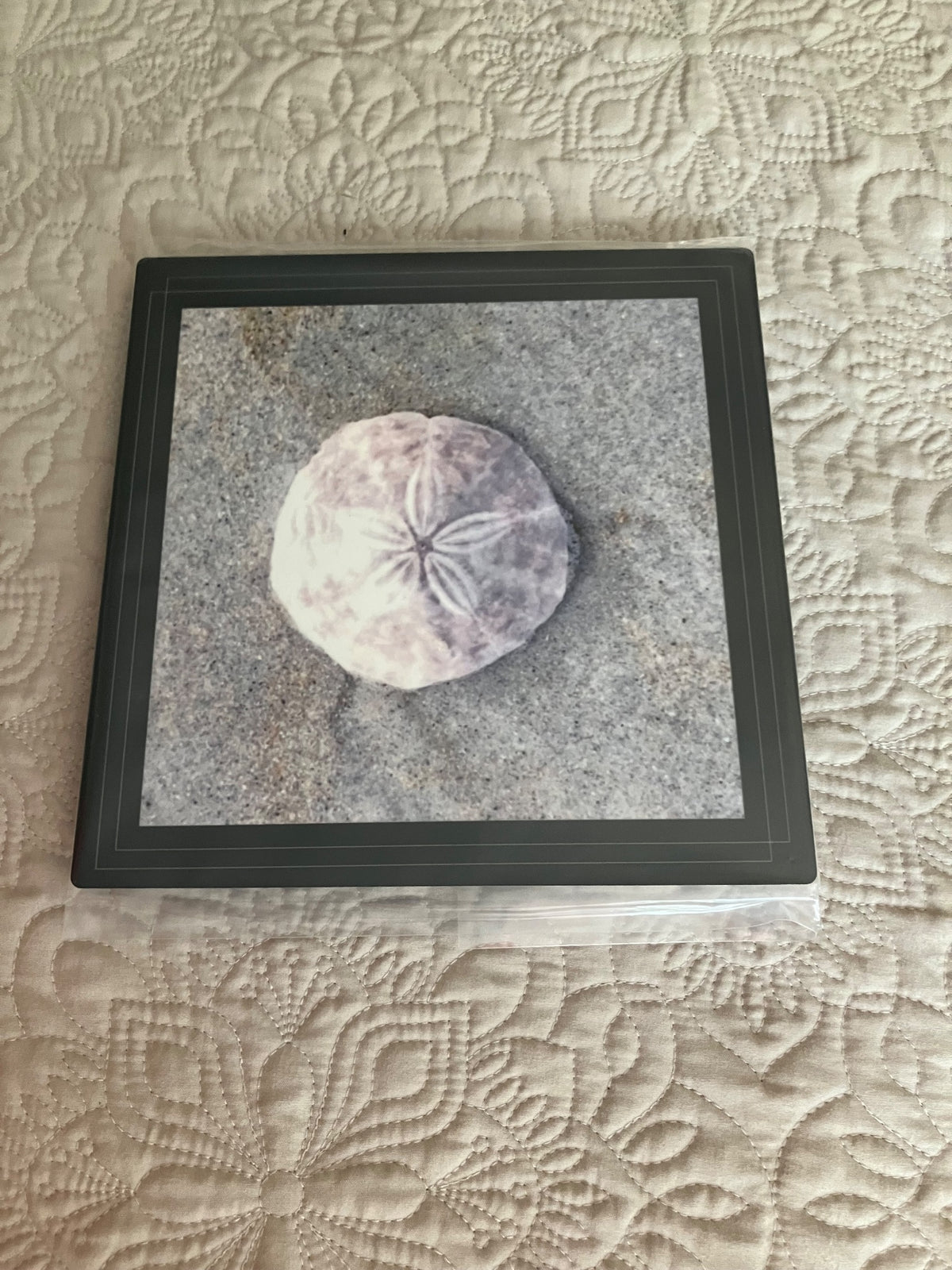 Original/durable - sand dollar by Tonya Arnold