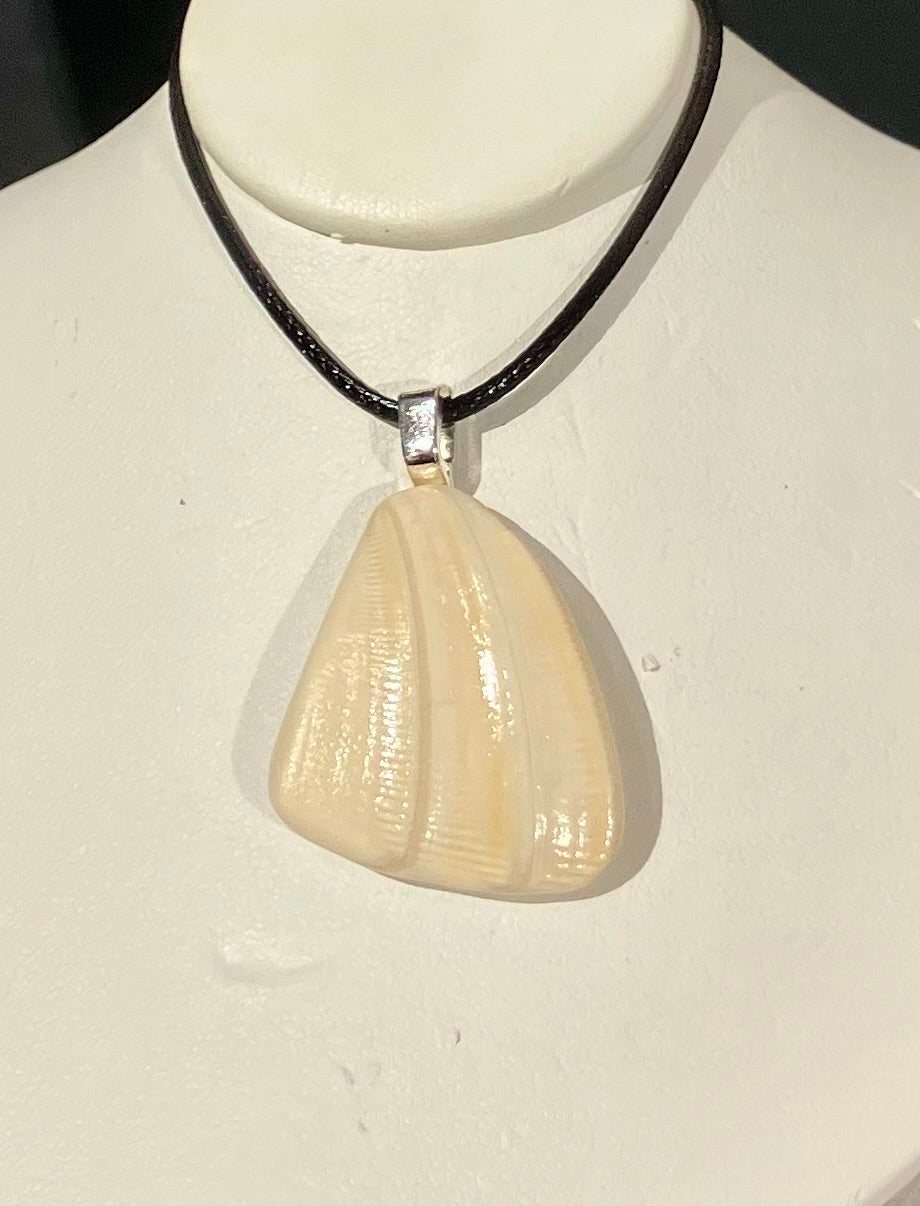 shell chunk necklace by Tonya Arnold