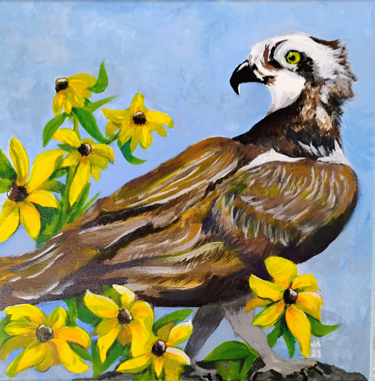 Black-eyed Susan and OspreyAC by Joyce Maura Anderson