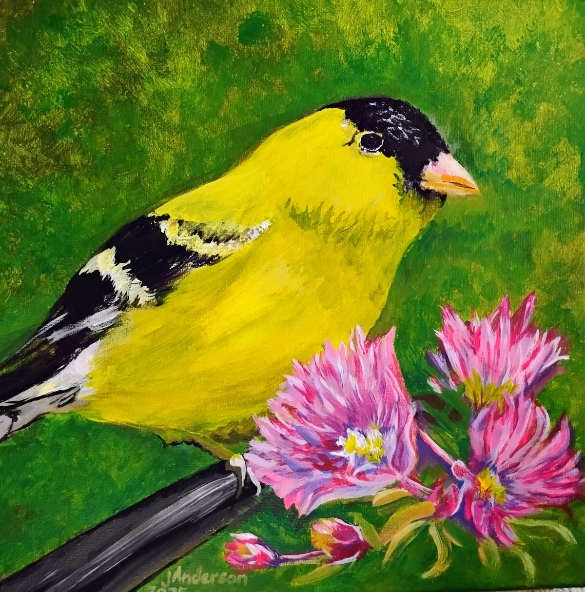 Finch and AsterAC by Joyce Maura Anderson