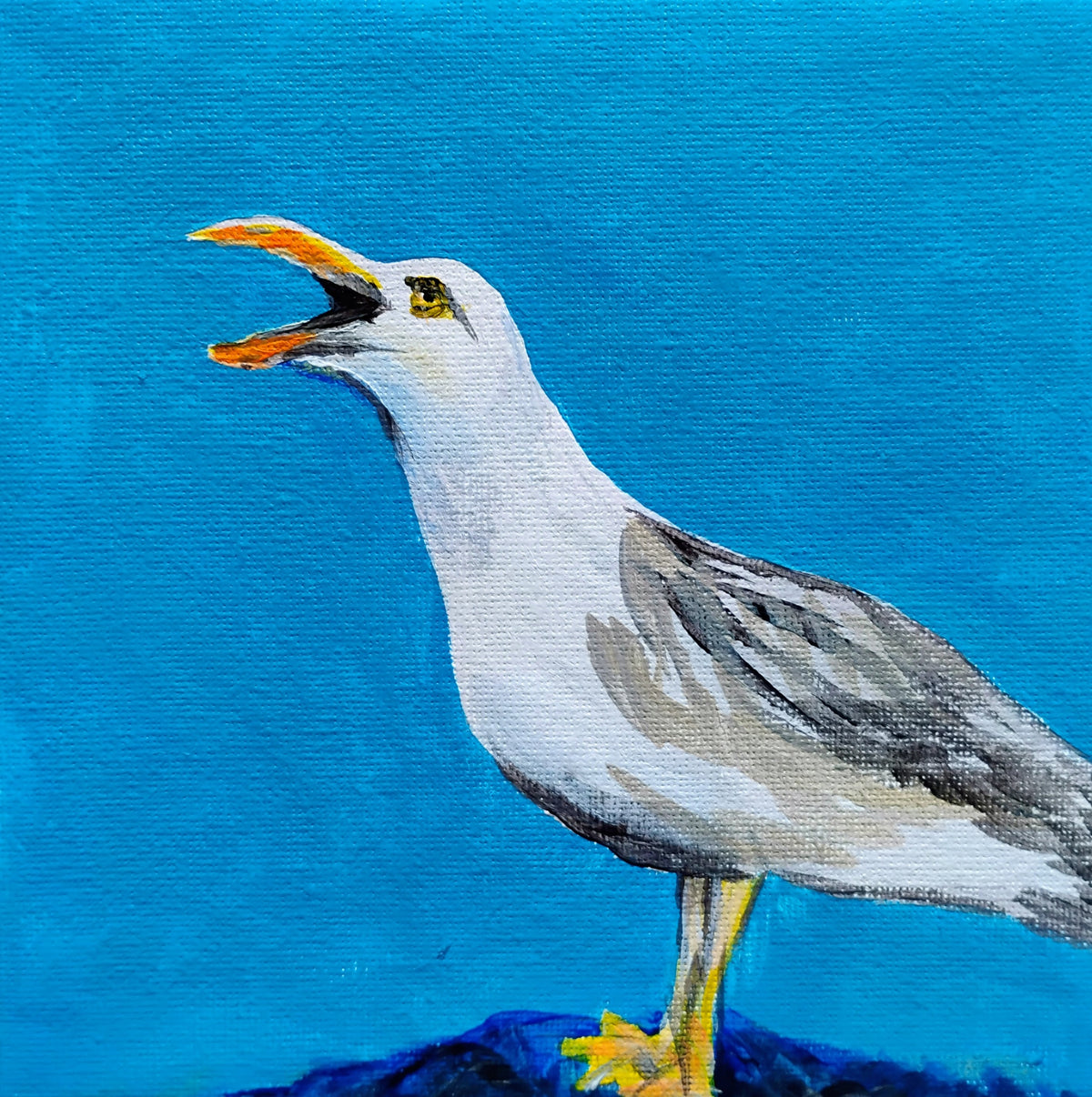Squawking GullAC by Joyce Maura Anderson