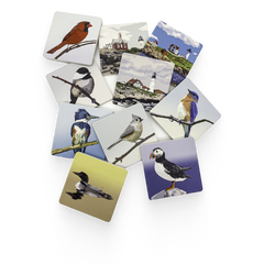Art Coasters by Edgecomb Potters