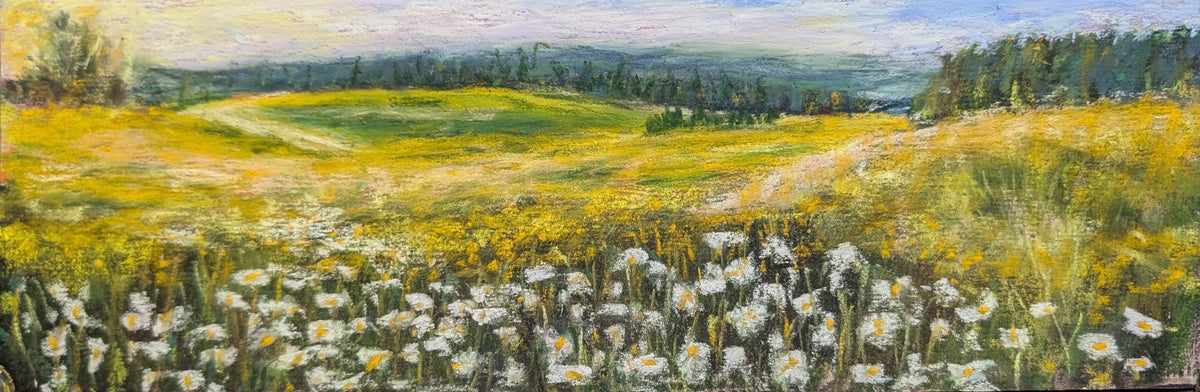 Daisy Field by Janet Lang