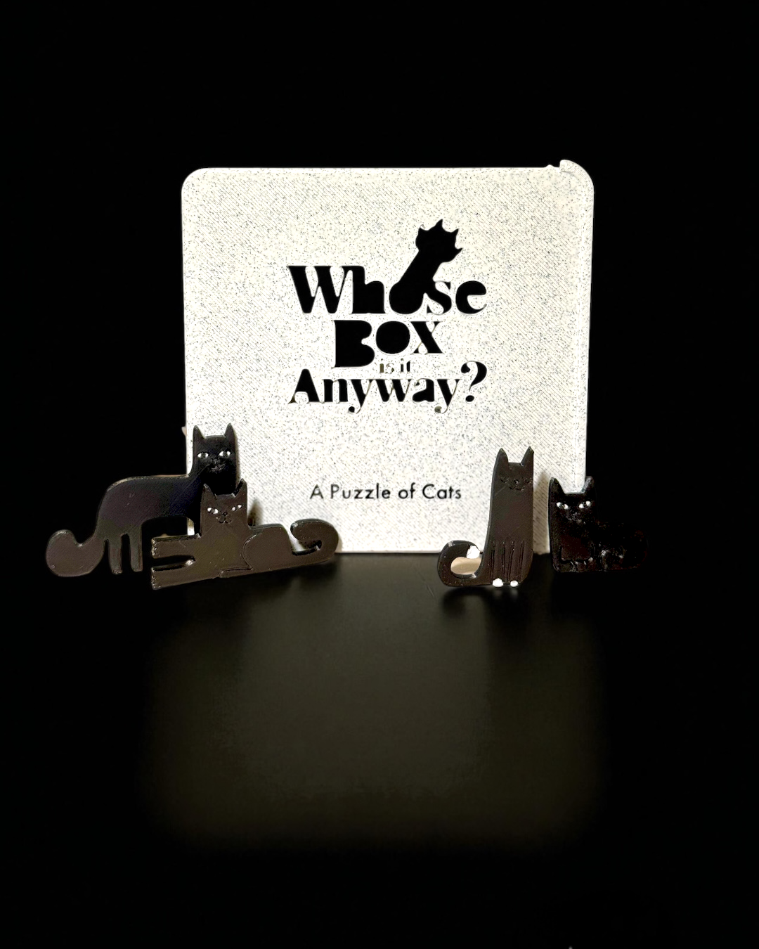 Whose Box is it Anyways? - Cat Puzzle by This Rad Life