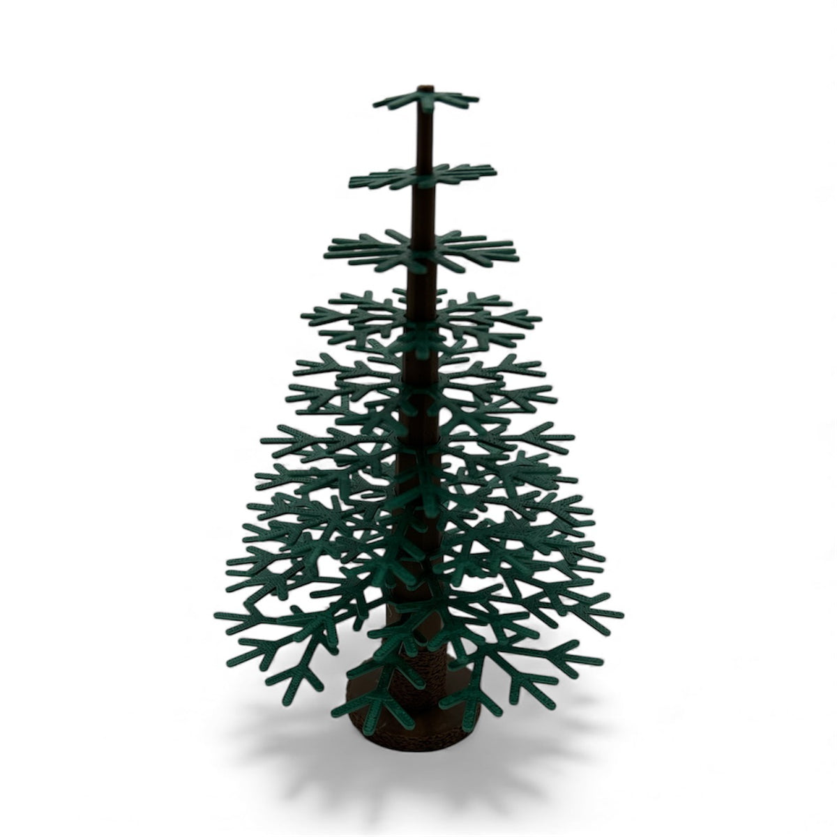 Pine Tree by This Rad Life