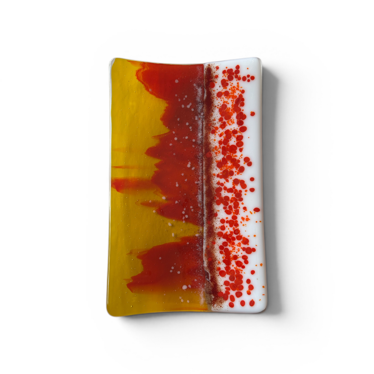 Decorative Rectangular Dinner Plate by Sherri Feld