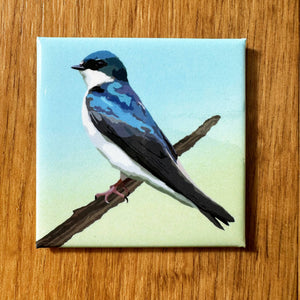 Tree Swallow Acrylic Magnet by Lehoux Art