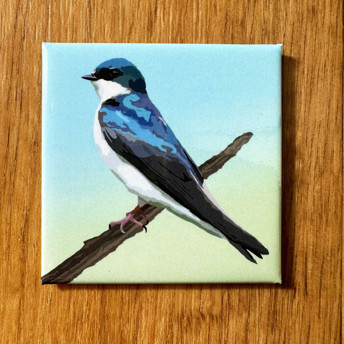 Tree Swallow Acrylic Magnet by Lehoux Art