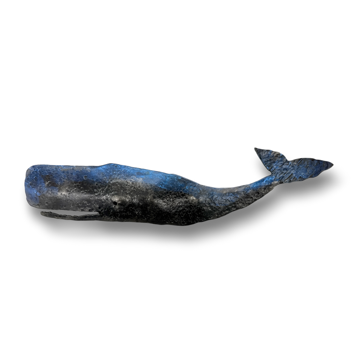 Medium Whale by Stephen Lichtenstein