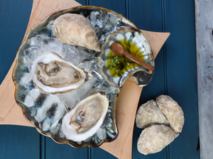 Shell Appetizer Plate by Edgecomb Potters
